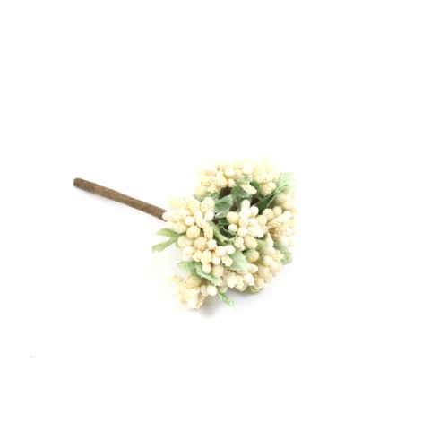 mazzo 12 bacche mimosa 11 cm crema