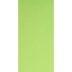 Pannolenci fantasia fondo verde pois bianchi 45x50