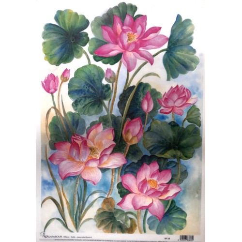 carta di riso per decoupage cm 30x42  pink lotus