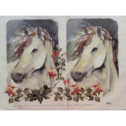 carta di riso per decoupage 33x48 equitazione con cavalli, cavalieri e  cornici